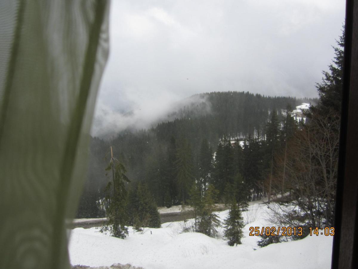 Aparthotel Pine Hills Pamporovo Cameră foto